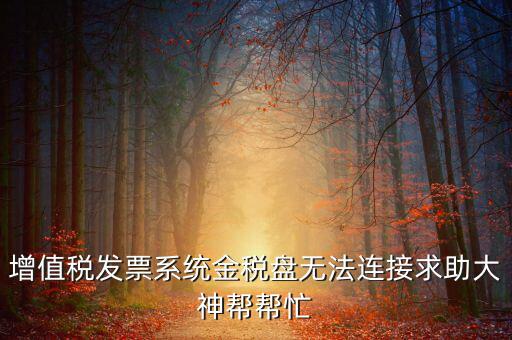 為什么金稅盤連接不上，金稅盤直接進不去怎么回事啊