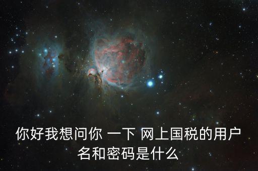 稅號(hào)和密碼是什么，國(guó)稅第一次網(wǎng)上申報(bào)的登陸密碼是什么