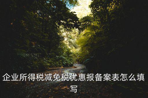 什么是稅收優(yōu)惠備案表，企業(yè)所得稅優(yōu)惠備案表填寫急