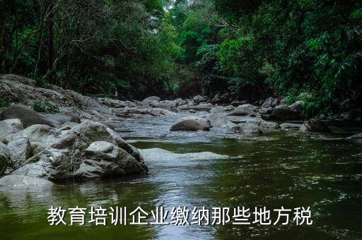 教育培訓班要交什么稅，教育培訓企業(yè)繳納那些地方稅