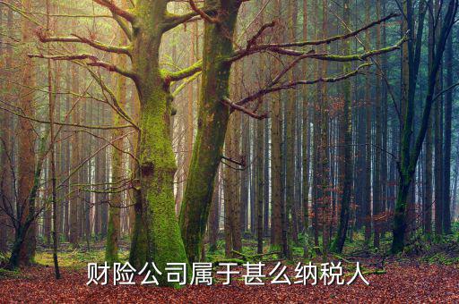 財(cái)險公司屬于甚么納稅人