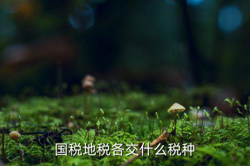 國(guó)稅地稅都是什么稅，國(guó)稅地稅各交什么稅種
