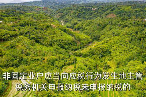 非固定業(yè)戶應(yīng)當(dāng)向應(yīng)稅行為發(fā)生地主管稅務(wù)機關(guān)申報納稅未申報納稅的
