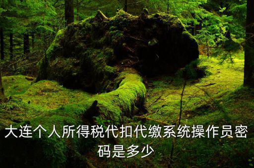 個稅代扣的密碼是什么，大連個人所得稅代扣代繳系統(tǒng)操作員密碼是多少