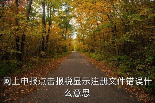 網(wǎng)上申報點擊報稅顯示注冊文件錯誤什么意思
