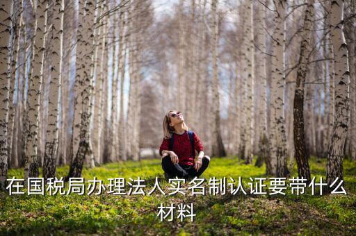 實名認證稅務需要什么資料，在國稅局辦理法人實名制認證要帶什么材料
