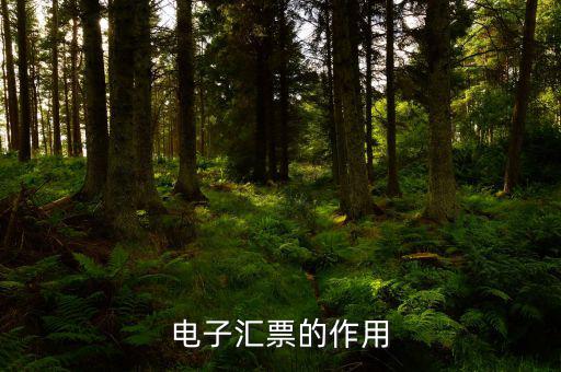 電子發(fā)票作用是什么，電子發(fā)票系統(tǒng)能做什么用