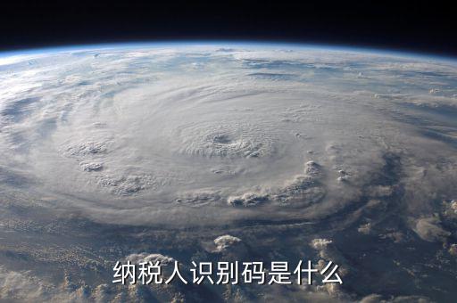 納銳人識別號是什么，納稅人識別碼是什么