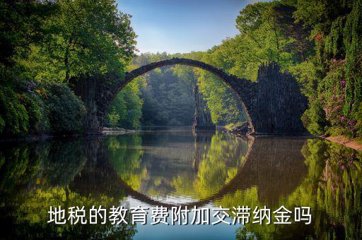 教育費(fèi)附加為什么不用交滯納金，地稅的教育費(fèi)附加交滯納金嗎