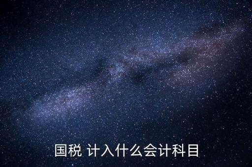 國(guó)稅申報(bào)記入什么科目，付國(guó)稅應(yīng)計(jì)入什么科目求解啊