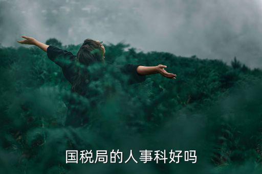 國稅人事科做什么，縣國稅局的人事歸哪里管基層分局的級(jí)別