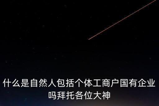 稅務上的自然人指的是什么，申請人為自然人的是什么意思