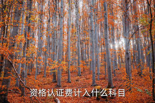 認(rèn)證服務(wù)費(fèi)什么，申請(qǐng)微信公眾賬號(hào)認(rèn)證服務(wù)費(fèi)什么意思