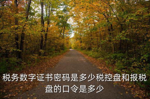 寧波國(guó)稅ca密碼是什么，寧波市電子稅務(wù)局登陸密碼
