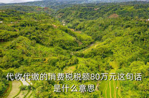 代扣代繳稅額是什么，代扣稅屬于什么稅
