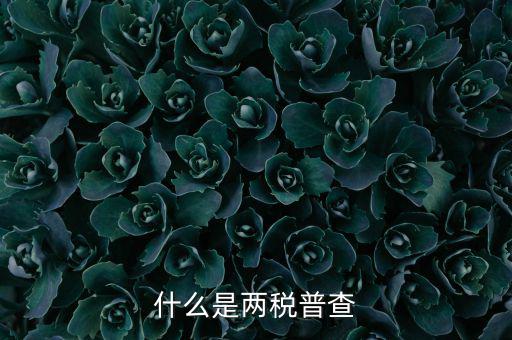 兩稅普查是什么意思，進(jìn)口兩稅是什么