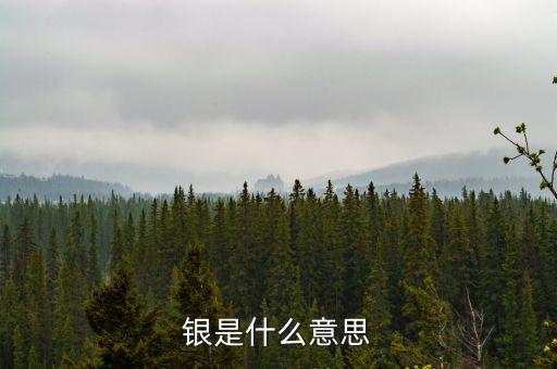 財(cái)稅庫(kù)銀是什么意思，銀是什么意思