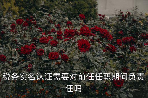 稅務(wù)實(shí)名認(rèn)證需要對前任任職期間負(fù)責(zé)任嗎