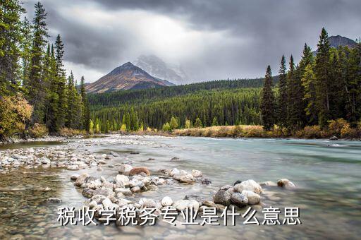 稅務(wù)研究什么意思，稅收學(xué)稅務(wù)專業(yè)是什么意思