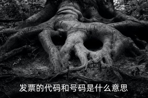 什么是打發(fā)票代碼，請教各位什么事發(fā)票代碼