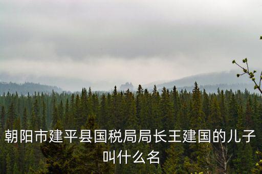 朝陽市建平縣國(guó)稅局局長(zhǎng)王建國(guó)的兒子叫什么名