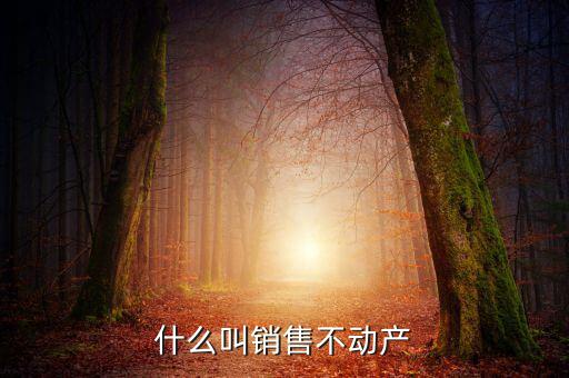 銷售不動產(chǎn)構筑物是什么，計算交納稅金時企業(yè)銷售房屋建筑物等不動產(chǎn)按照稅法的有關
