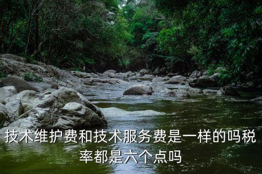 技術維護費和技術服務費是一樣的嗎稅率都是六個點嗎
