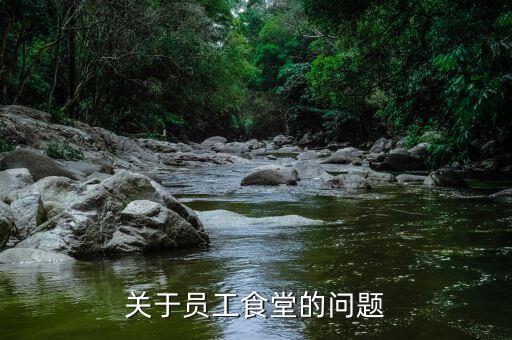 為什么國(guó)稅局有食堂，為什么高校食堂只免三年的增值稅