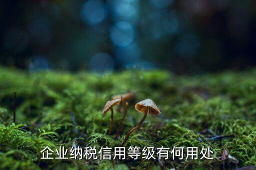 納稅等級(jí)有什么用，請(qǐng)問(wèn)什么是分級(jí)別納稅信用單位怎么得到這種稱(chēng)號(hào)得到了又有啥好