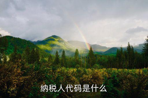 個(gè)人納稅人代碼是什么，納稅人代碼是什么