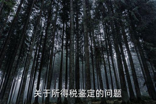 什么叫稅鑒，什么是納稅人鑒定表其格式是什么樣的