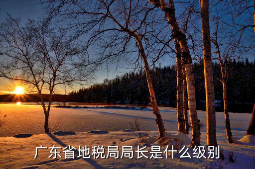 省稅務(wù)局局長(zhǎng)什么級(jí)別，廣東省地稅局局長(zhǎng)是什么級(jí)別