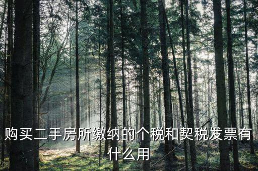 購(gòu)買二手房所繳納的個(gè)稅和契稅發(fā)票有什么用