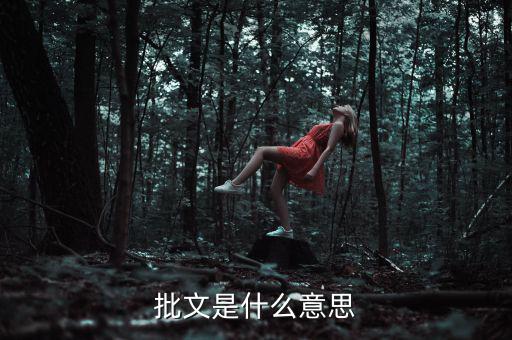 稅收個案批復(fù)是什么意思，批文是什么意思