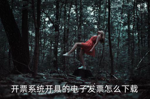 江蘇用什么開票系統(tǒng)下載，普通發(fā)票開票系統(tǒng)下載