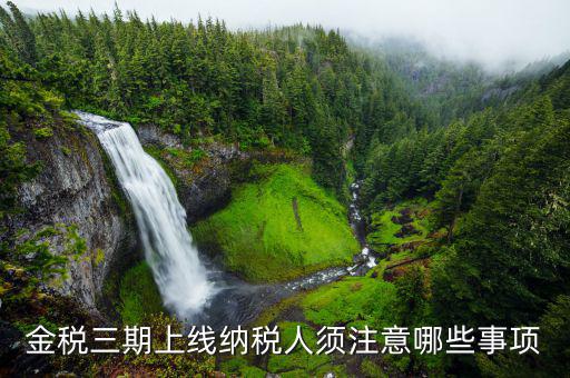 金稅三期上線(xiàn)納稅人須注意哪些事項(xiàng)