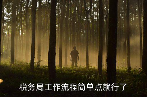 稅務(wù)局上班要什么手續(xù)，稅務(wù)局工作流程簡單點(diǎn)就行了