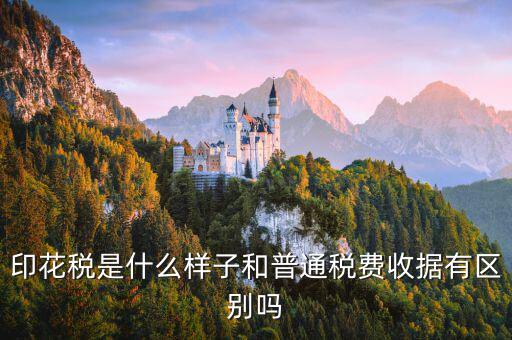 稅花什么樣，印花稅是什么樣子和普通稅費(fèi)收據(jù)有區(qū)別嗎