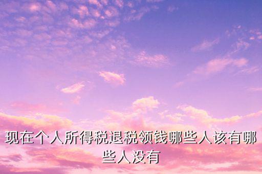 現(xiàn)在個(gè)人所得稅退稅領(lǐng)錢(qián)哪些人該有哪些人沒(méi)有
