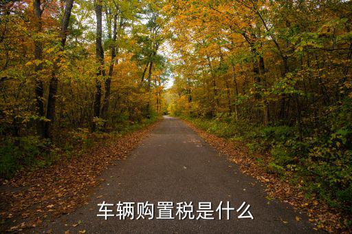 車購(gòu)稅資金是什么，購(gòu)置稅是什么
