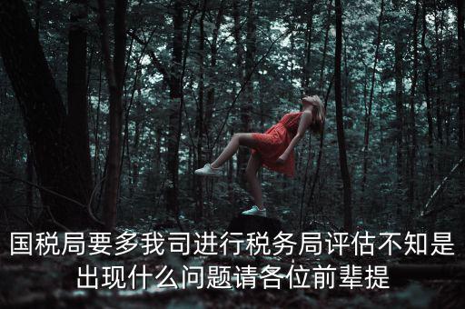 國(guó)稅評(píng)估局是干什么的，國(guó)稅局是做什么的說(shuō)簡(jiǎn)單點(diǎn)兒吧謝謝