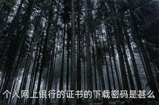 個(gè)人網(wǎng)上銀行的證書(shū)的下載密碼是甚么