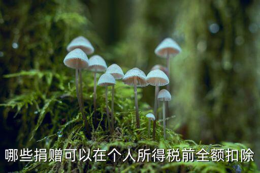 什么捐贈可以稅前扣除，求助企業(yè)在所得稅前可以扣除的捐贈支出