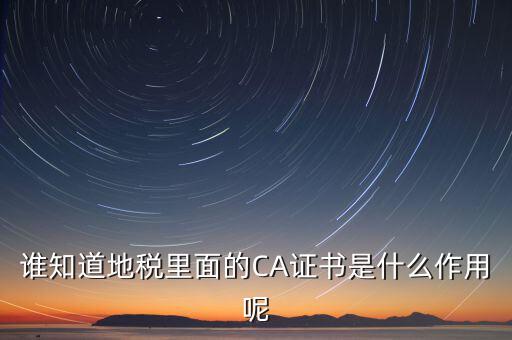 地稅安徽ca是什么意思，什么是國(guó)稅CA和地稅CA他是具體干什么用的