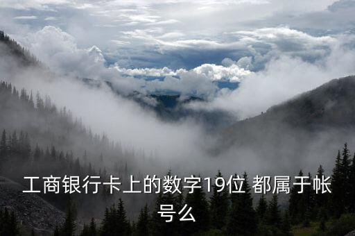 工行19位賬號應(yīng)用號是什么，請解釋工商銀行19位帳號的組成含義