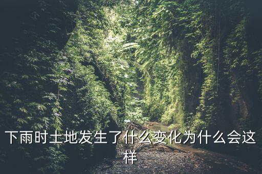 下雨時(shí)土地發(fā)生了什么變化為什么會這樣