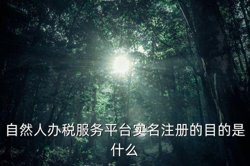 自然人辦稅服務(wù)平臺(tái)實(shí)名注冊的目的是什么