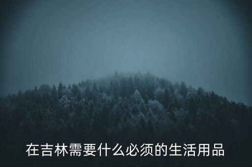 辦吉林通得帶什么，在吉林需要什么必須的生活用品