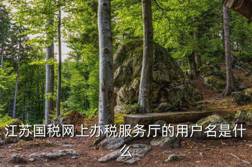 江蘇國稅用戶名密碼是什么意思，江蘇國稅網(wǎng)上辦稅服務(wù)廳的用戶名是什么