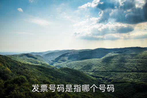 什么是發(fā)票的查詢號(hào)，發(fā)票號(hào)碼是指哪個(gè)號(hào)碼